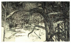 Drei Libellen im R�hricht