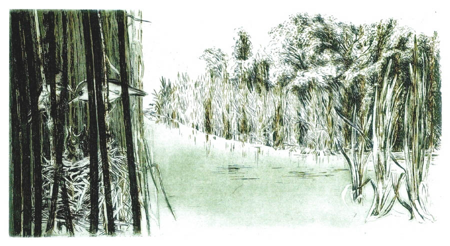 Versteckt im Herzen der Au