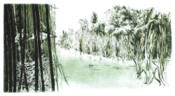 Versteckt im Herzen der Au