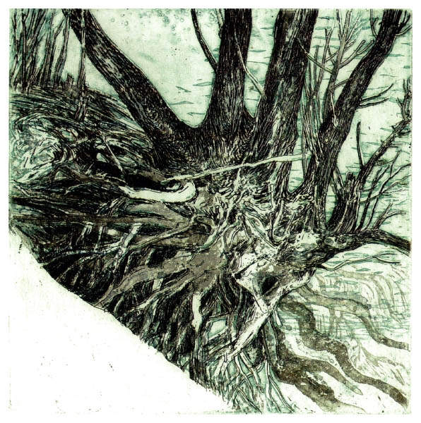 Verwurzelt zwischen Eis und Schnee