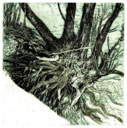 Verwurzelt zwischen Eis und Schnee