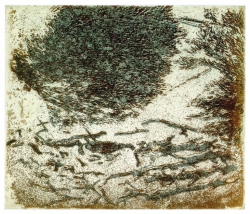 Weidenbusch und Schwemmholz